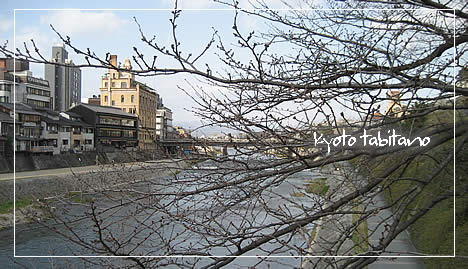 鴨川の桜2009