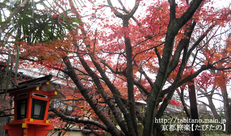 祇園白川
