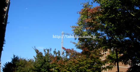 京都 紅葉