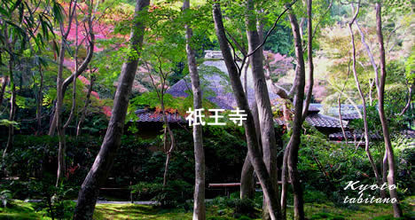 祇王寺