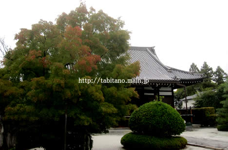 阿弥陀寺 紅葉