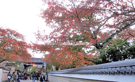 建仁寺 紅葉