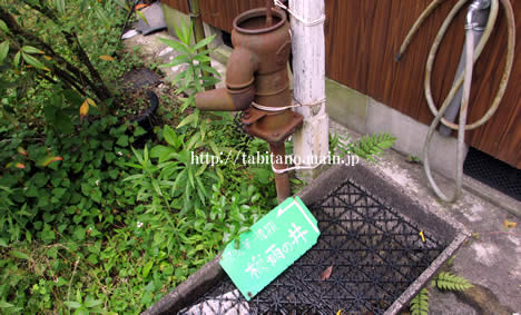 梅雨の井
