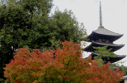 法隆寺 紅葉