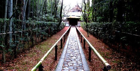 高桐院 紅葉