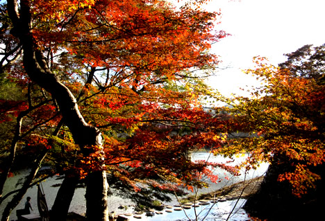 永源寺 紅葉
