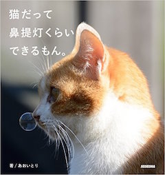 51BBgOgEUzL._SX471_BO1,204,203,200_.jpg