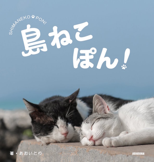 hyousi_shima のコピー 2.jpg