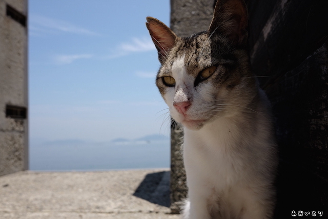 DSCF2775.JPG