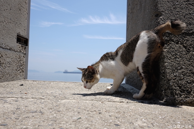 DSCF2741.JPG
