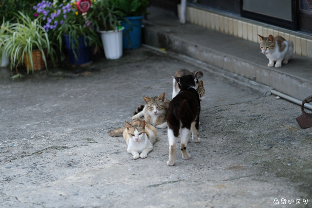 DSCF9231.jpg