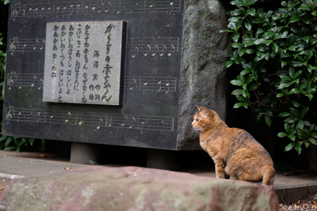 DSCF0764.jpg