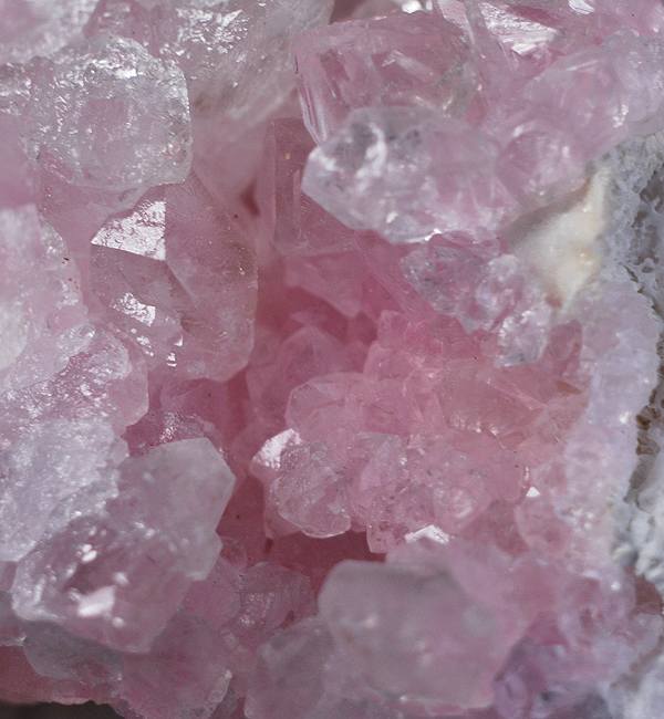 Happy Valentine！ | HobbyStone 石通信