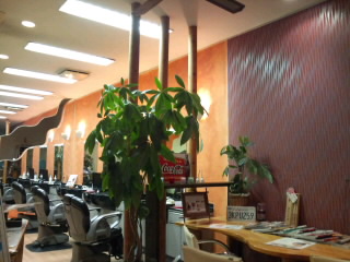 CA3D00060002.jpg