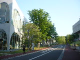 P10208590001.jpg