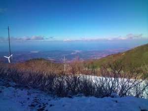 sF1000008.jpg