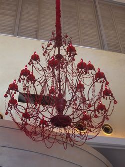 amaranti3.jpg
