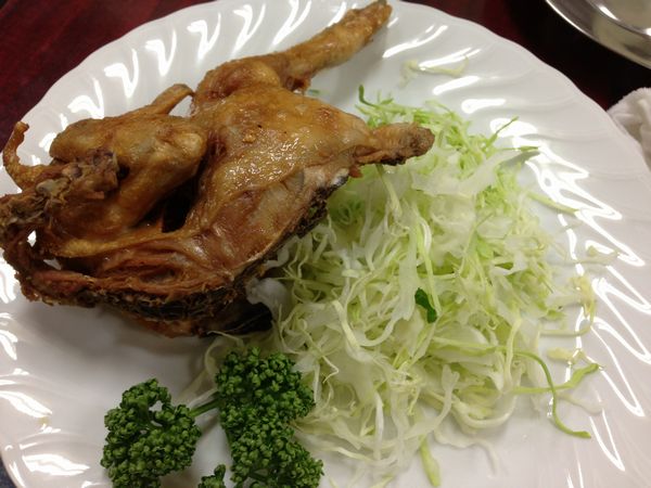 鳥房5.jpg