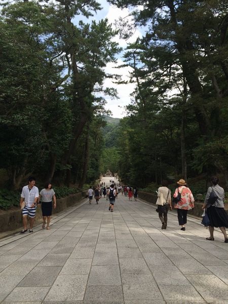 出雲大社5.jpg