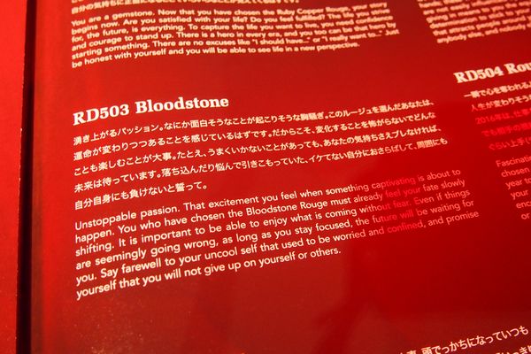 shiseido_rougerouge_9.jpg