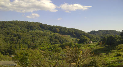 hadano_02.jpg