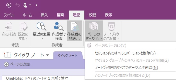 OneNote Page Version