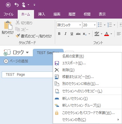 OneNote Section Password