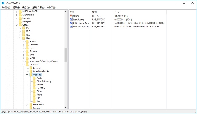 OneNote Page Number Of Versions registry