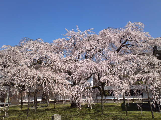 SN3P0009.jpg