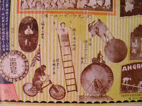 伊豆まぼろし博覧会