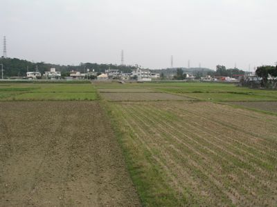 田んぼ