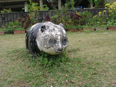 パンダ
