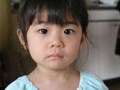 最近の菜海