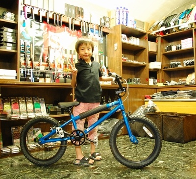 haro z18 bmx bike