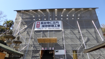 長谷寺 仁王門工事中