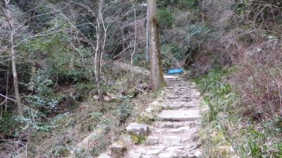 施福寺 坂
