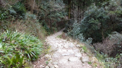 施福寺 坂下