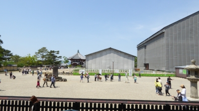 興福寺 工事中