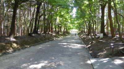 醍醐寺 境内通路