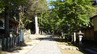 華厳寺 境内