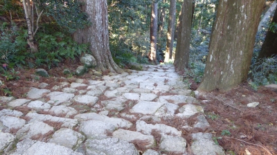 那智の滝への階段