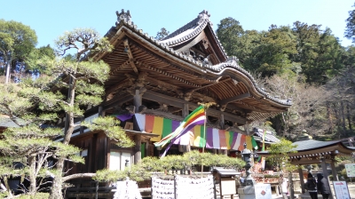 岡寺 本堂