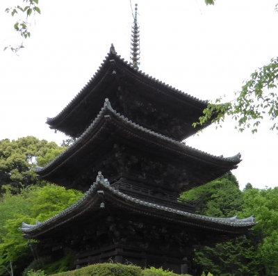 三井寺 三重塔
