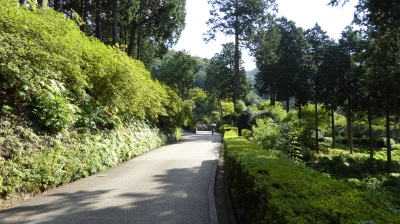 三室戸寺 参道