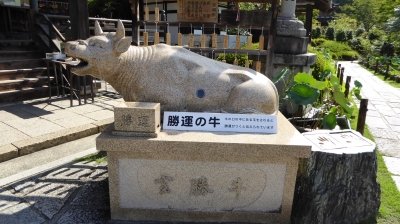 三室戸寺 宝勝牛(縁起が良い)