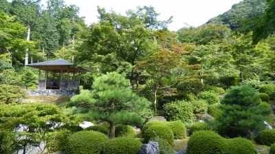 三室戸寺 庭園