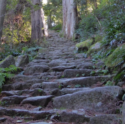 青岸渡寺 滝への階段(振返り