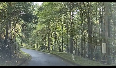 1305_西塔駐車場間違い道