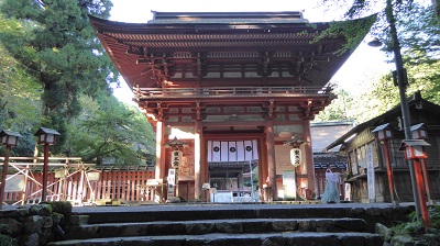3106_東本宮