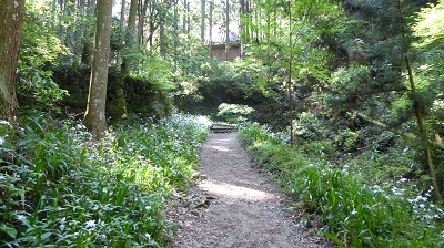 04043_施福寺登り